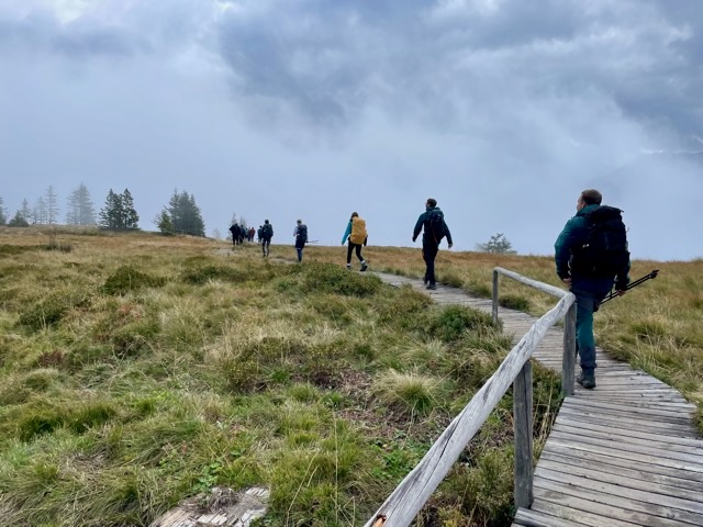 Panoramic Trail